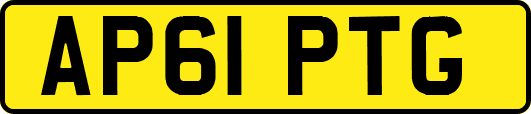 AP61PTG