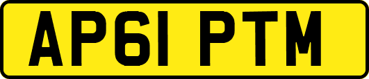 AP61PTM