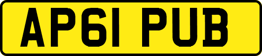 AP61PUB