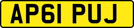 AP61PUJ