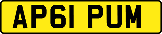 AP61PUM