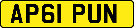 AP61PUN