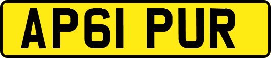 AP61PUR
