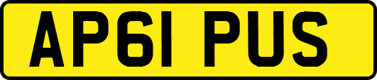 AP61PUS
