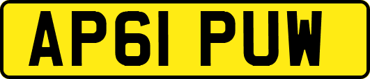 AP61PUW