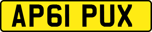 AP61PUX