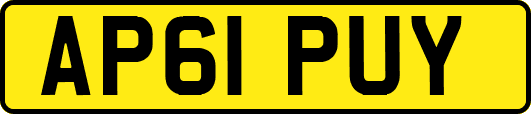 AP61PUY