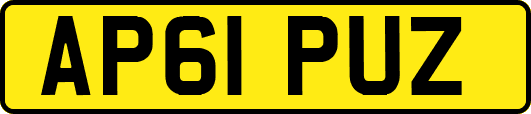 AP61PUZ