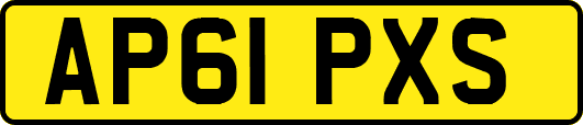 AP61PXS