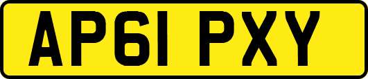 AP61PXY