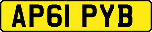 AP61PYB