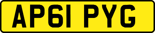 AP61PYG