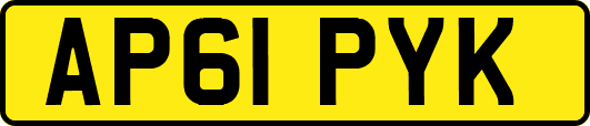 AP61PYK