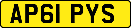 AP61PYS