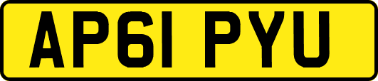 AP61PYU