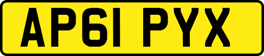 AP61PYX