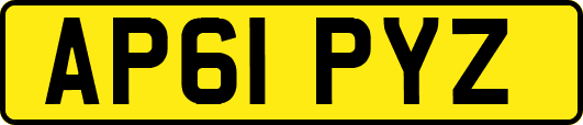 AP61PYZ