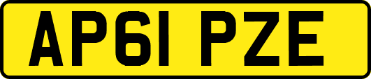 AP61PZE