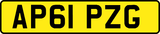 AP61PZG