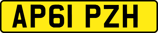 AP61PZH