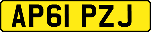 AP61PZJ
