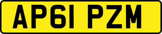 AP61PZM