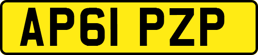 AP61PZP