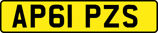 AP61PZS