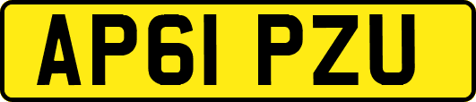 AP61PZU