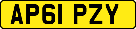 AP61PZY