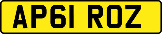 AP61ROZ