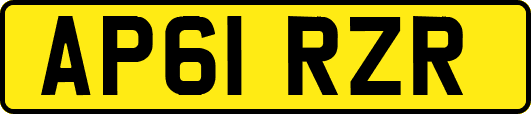 AP61RZR