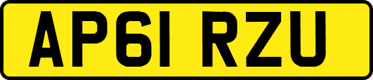 AP61RZU