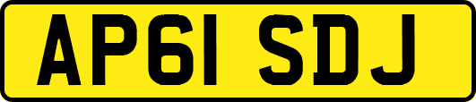 AP61SDJ