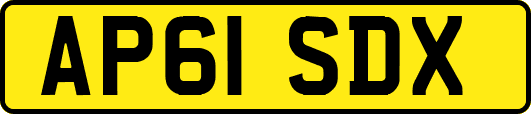 AP61SDX