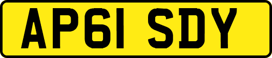 AP61SDY