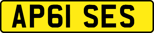 AP61SES