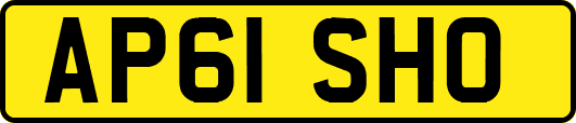 AP61SHO