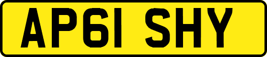 AP61SHY