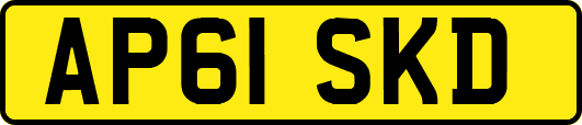 AP61SKD