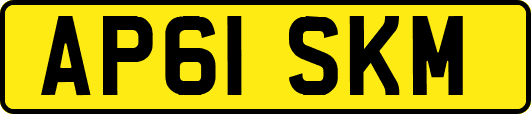AP61SKM