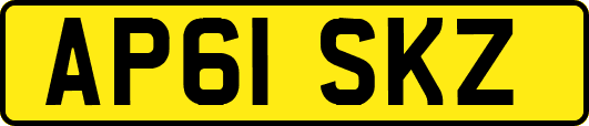AP61SKZ
