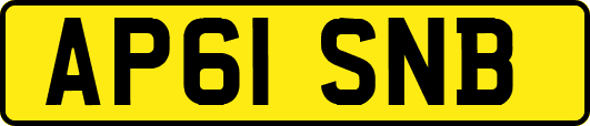AP61SNB