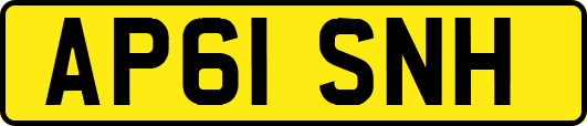 AP61SNH