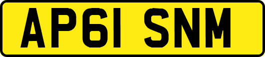 AP61SNM