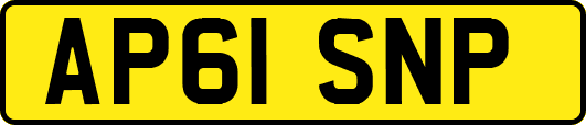 AP61SNP