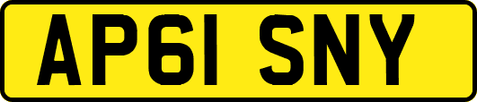 AP61SNY