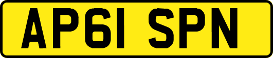 AP61SPN