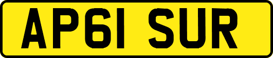 AP61SUR