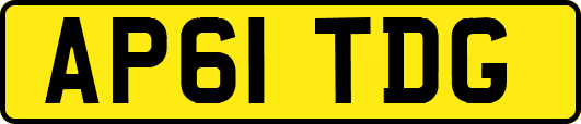 AP61TDG